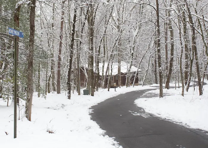 Forrest Hills Mountain Resort